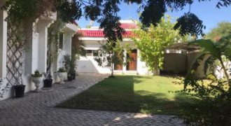 beautiful 3 bed room single story villa for rent in jumeirah 1 with beautiful private garden